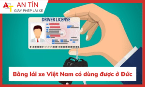 Lưu ý khi sử dụng bằng lái 