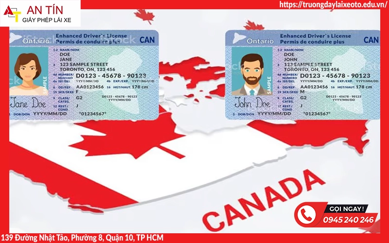 Hướng dẫn thủ tục đổi bằng lái xe Canada sang Việt Nam