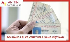 Đổi bằng lái xe Venezuela sang Việt Nam