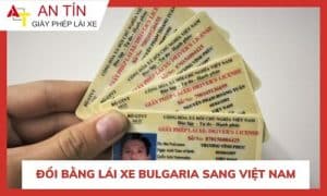 Đổi bằng lái xe Bulgaria sang Việt Nam