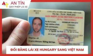 Đổi bằng lái xe Hungary sang Việt Nam