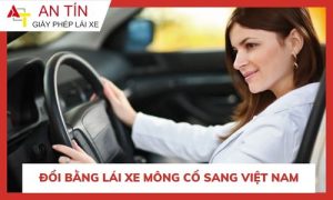 Đổi bằng lái xe Mông Cổ sang Việt Nam
