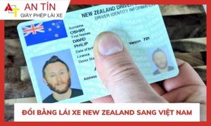 Đổi bằng lái xe New Zealand sang Việt Nam